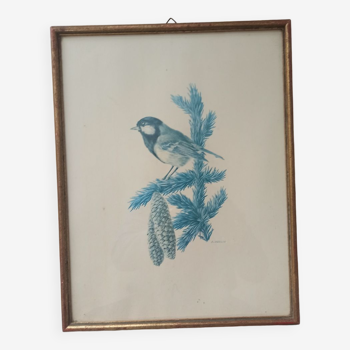 Blue tit in charcoal on board under glass, signed