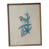 Blue tit in charcoal on board under glass, signed