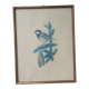 Blue tit in charcoal on board under glass, signed