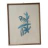 Mésange bleue au fusain sur planche sous verre, signée