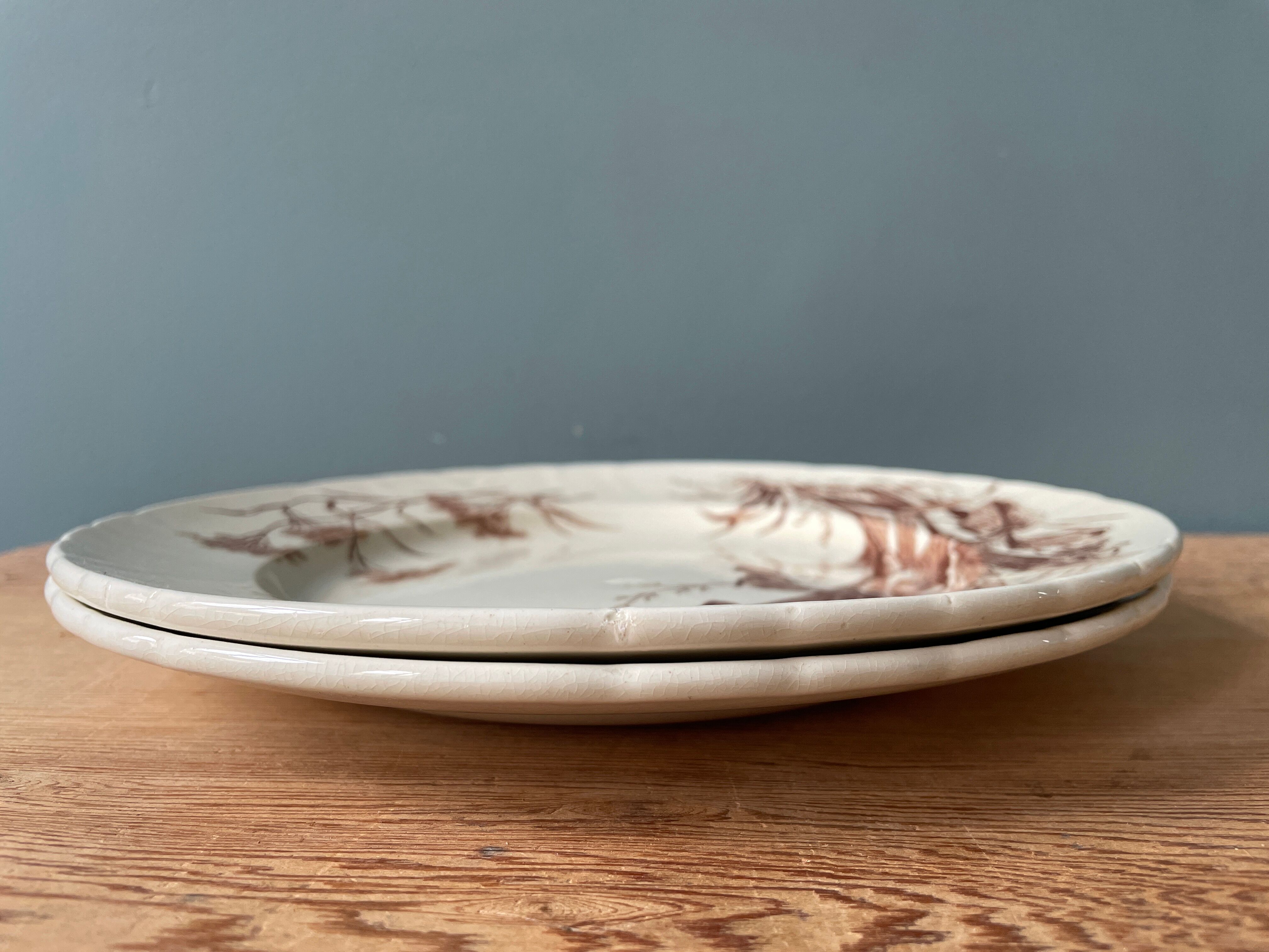 Lot de 2 assiettes Terre De Fer service « Flore »