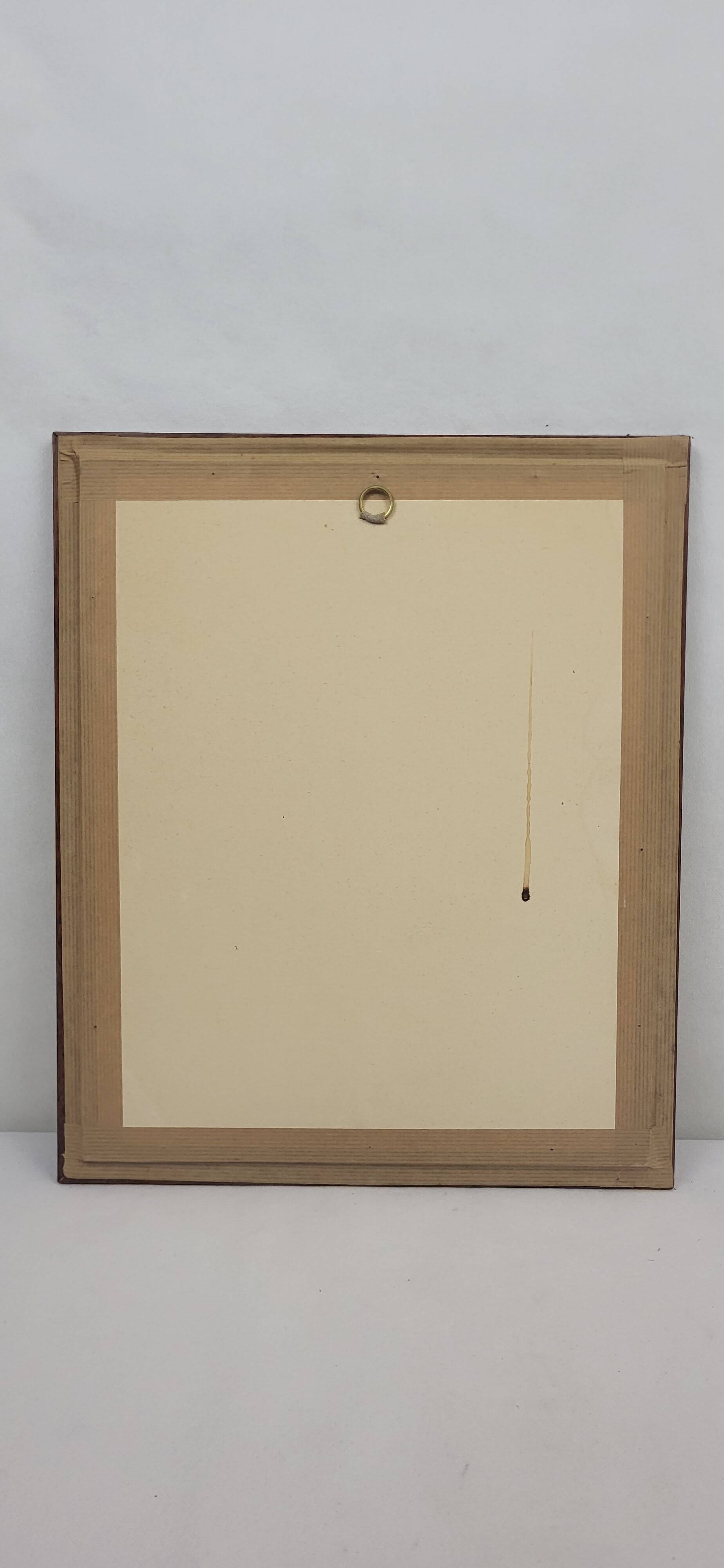 Botanical plate engraving Maritime pine Fournier