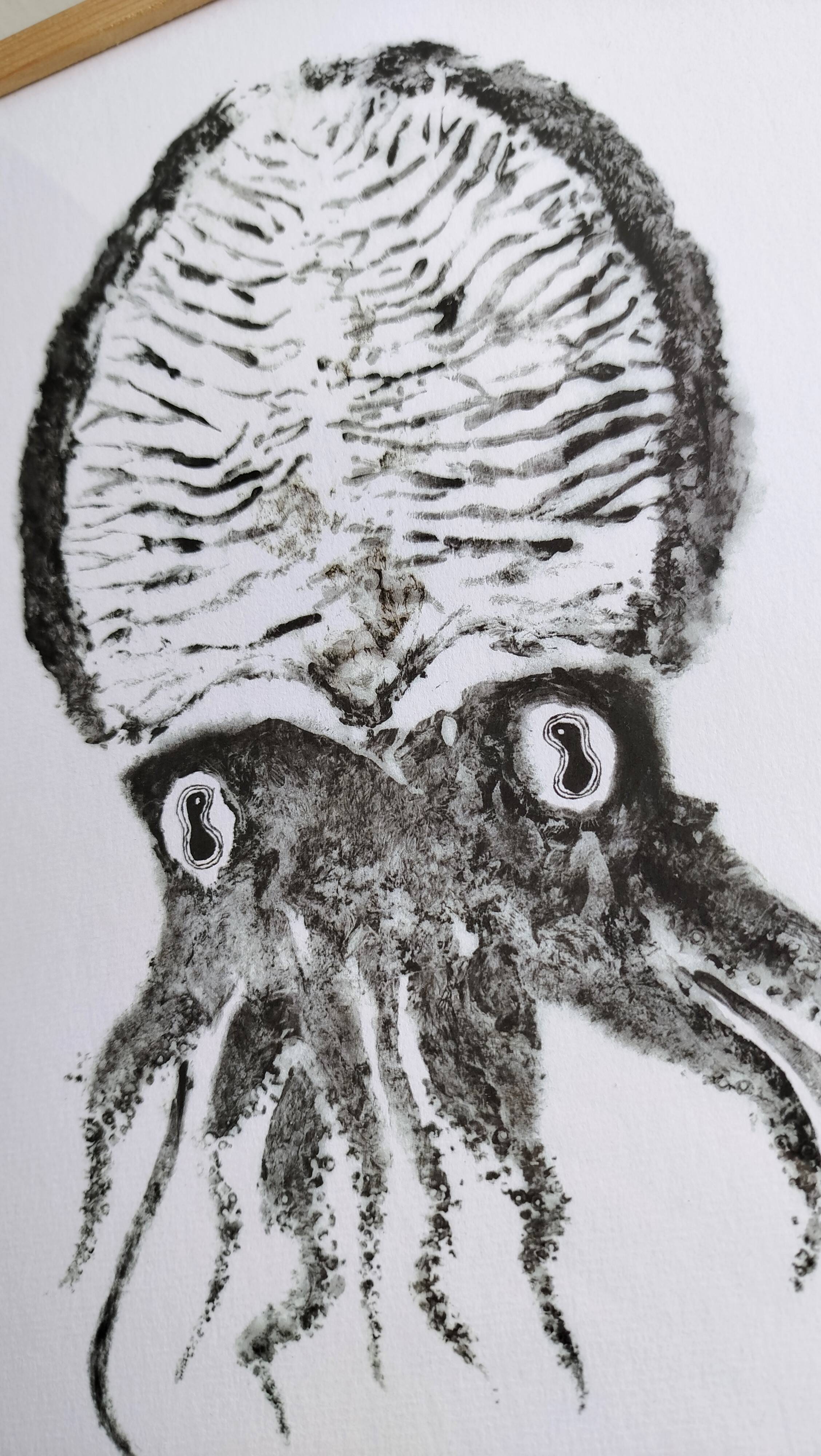Impression d'art encadrée, "Gyotaku d'une seiche"