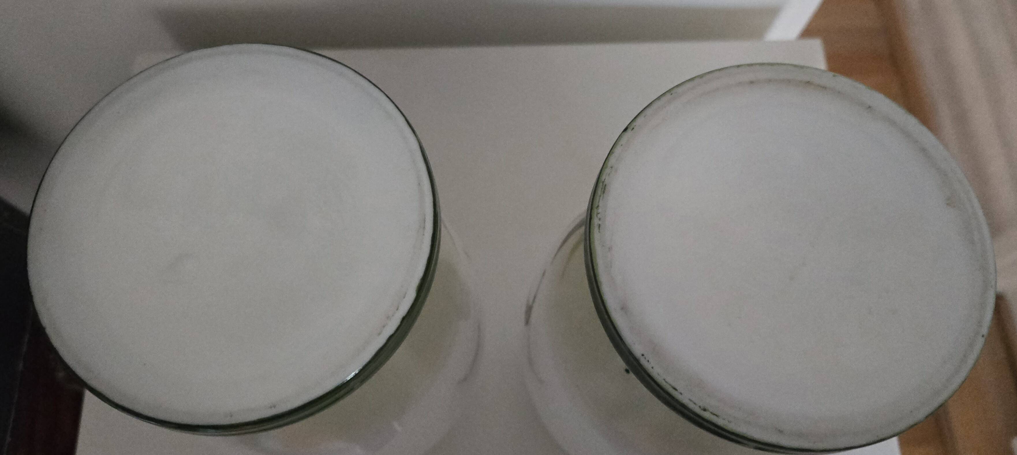 Opaline vase from the Napoléon III period.