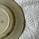 U&G Sarguemines Épine plates