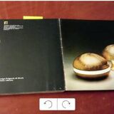 Luciano Frigerio Italian Table Lamp Vibrated Brass "Ballata Alta", 1974