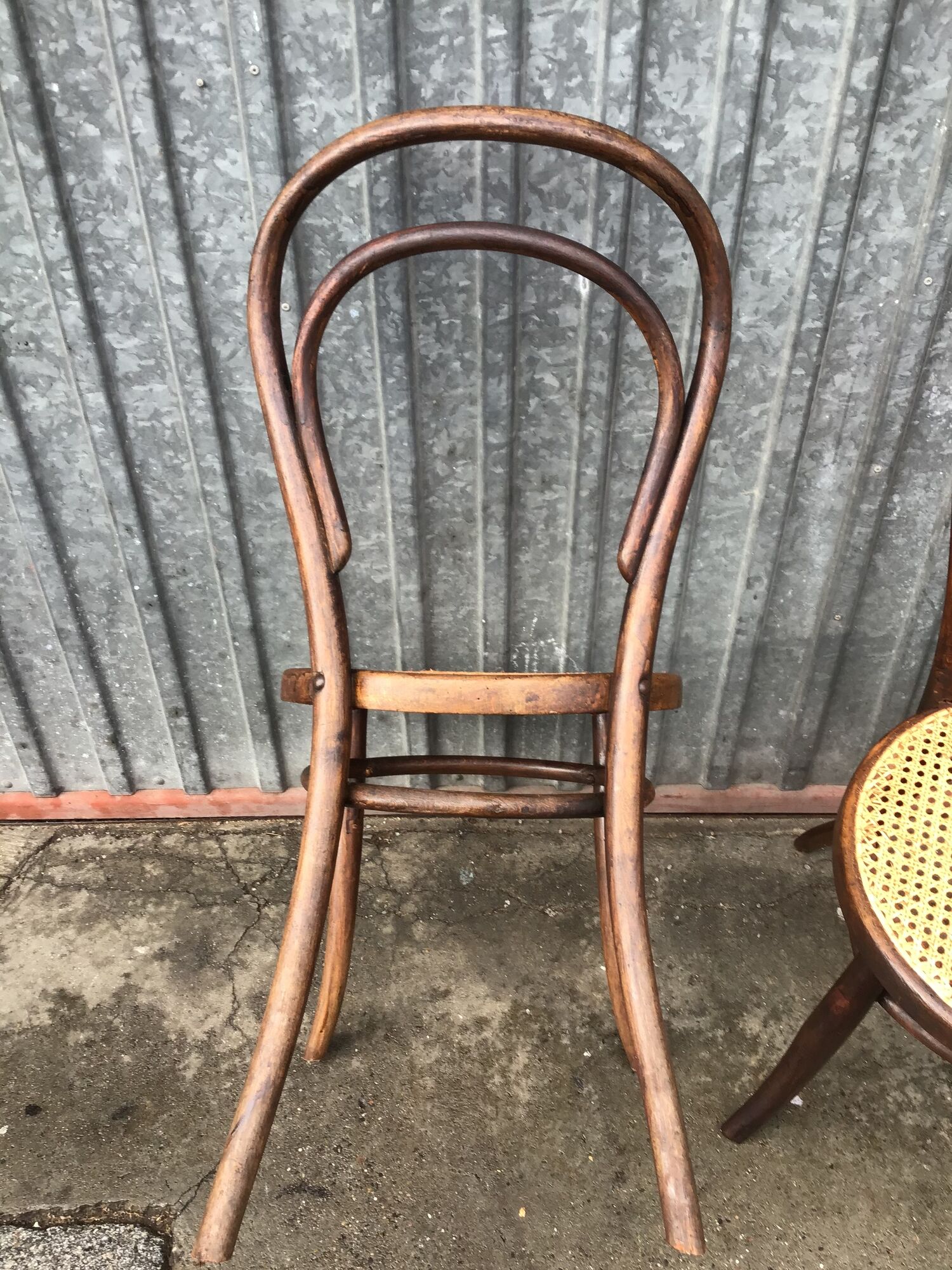 Pair of chairs curved wood tuna and Nr 14