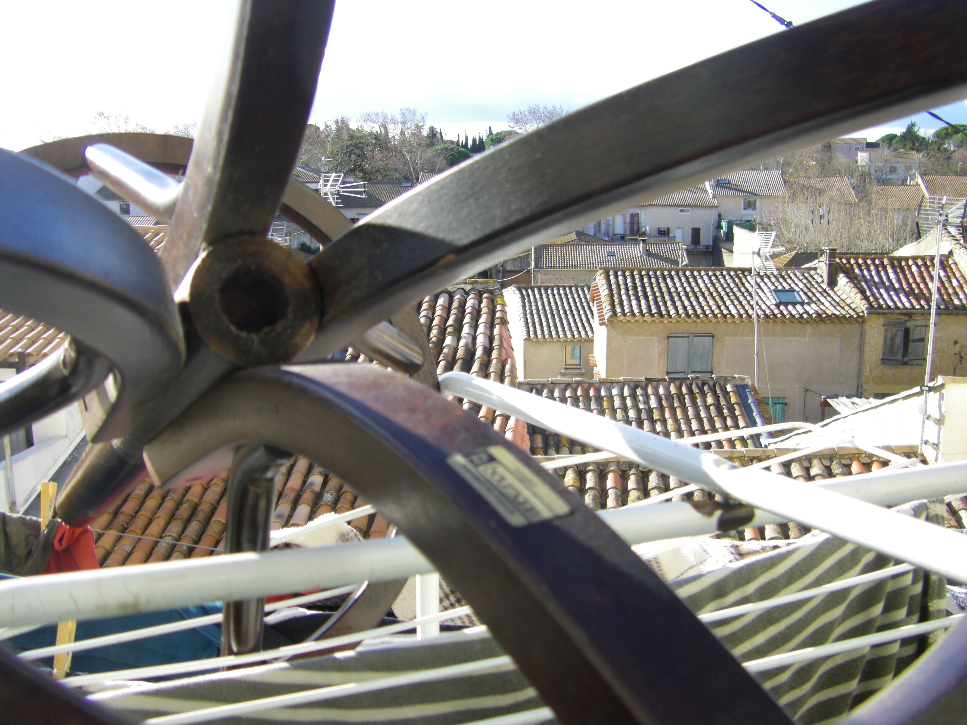 Baumann parrot coat rack