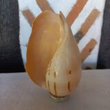 Melo Diadema shell mounted on base