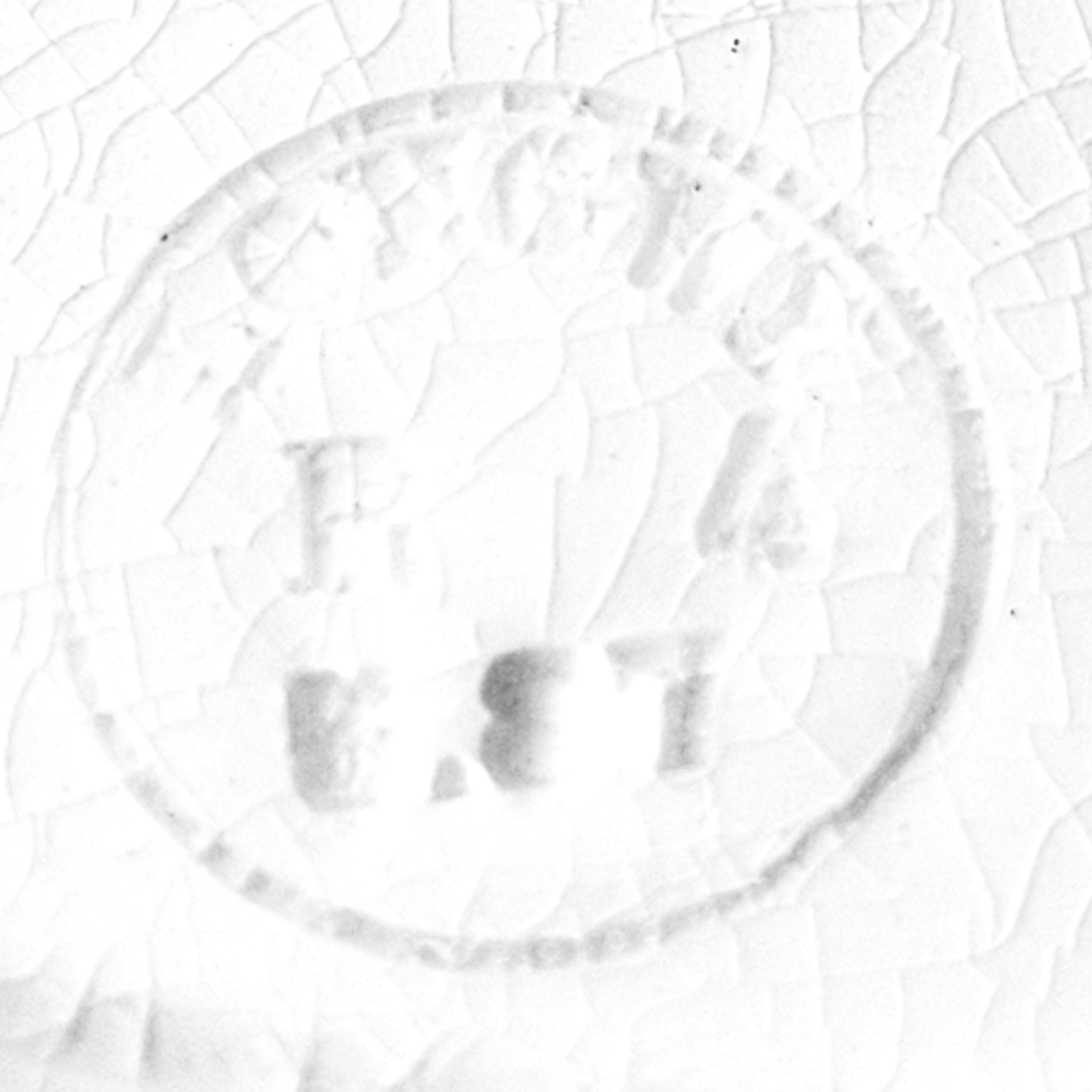 6 Longwy dinner plates (25cm)