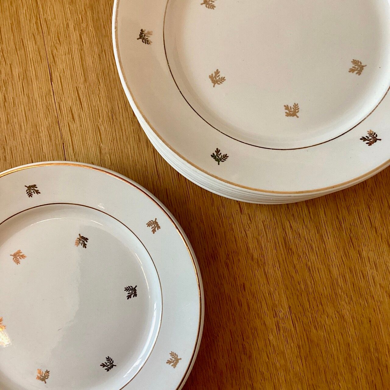 Flat plates Badonviller