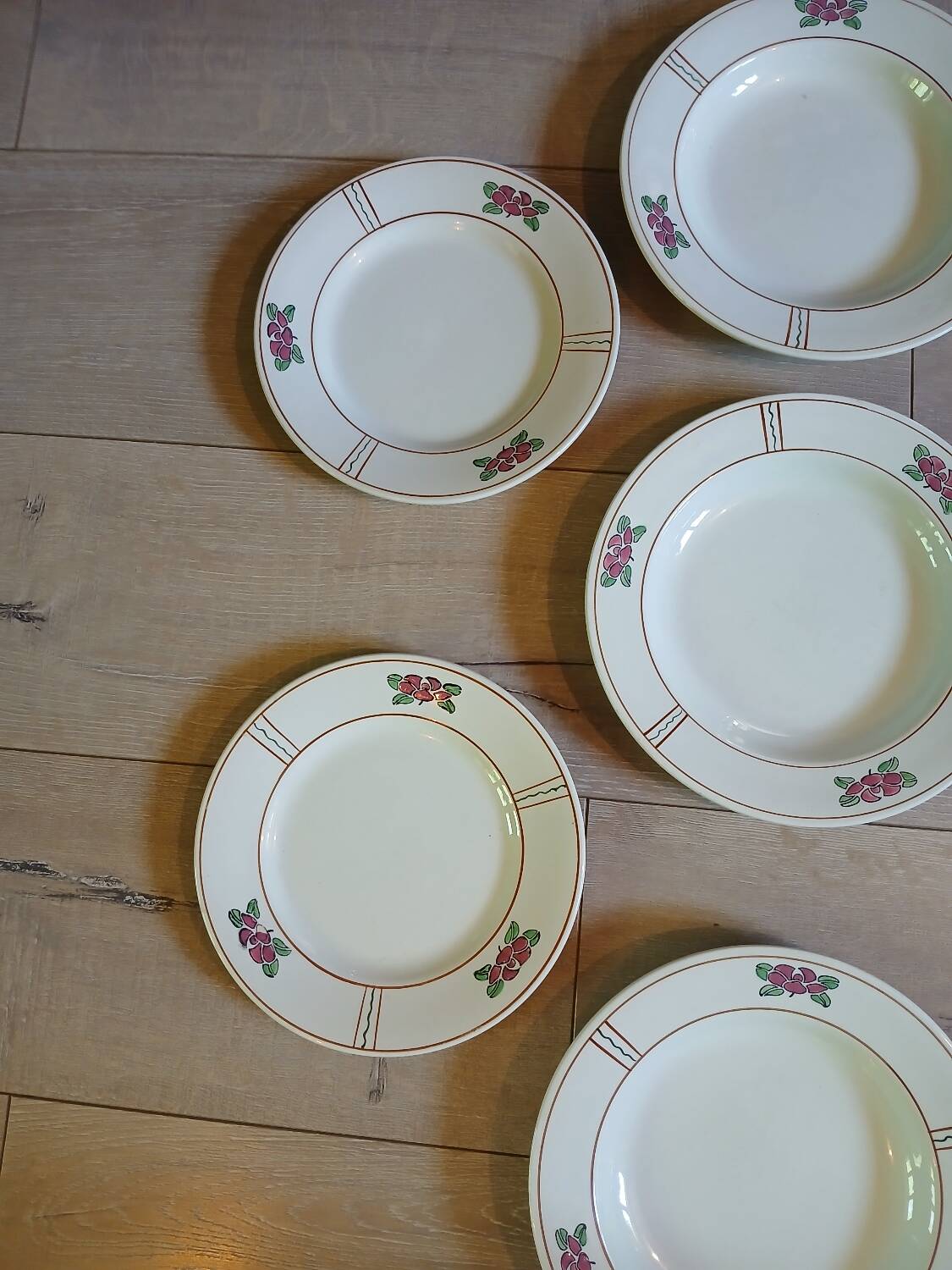 14 Terre de fer SALINS "Water Lily" plates