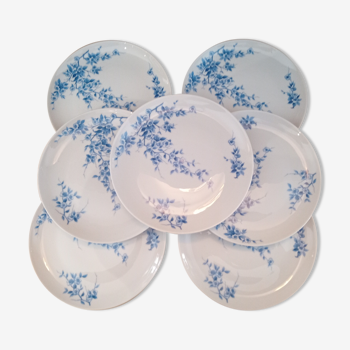 Lot de 7 assiettes à dessert en porcelaine décor petites fleurs bleues