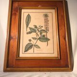 Former botanical plank vegan tampon relief with wood frame