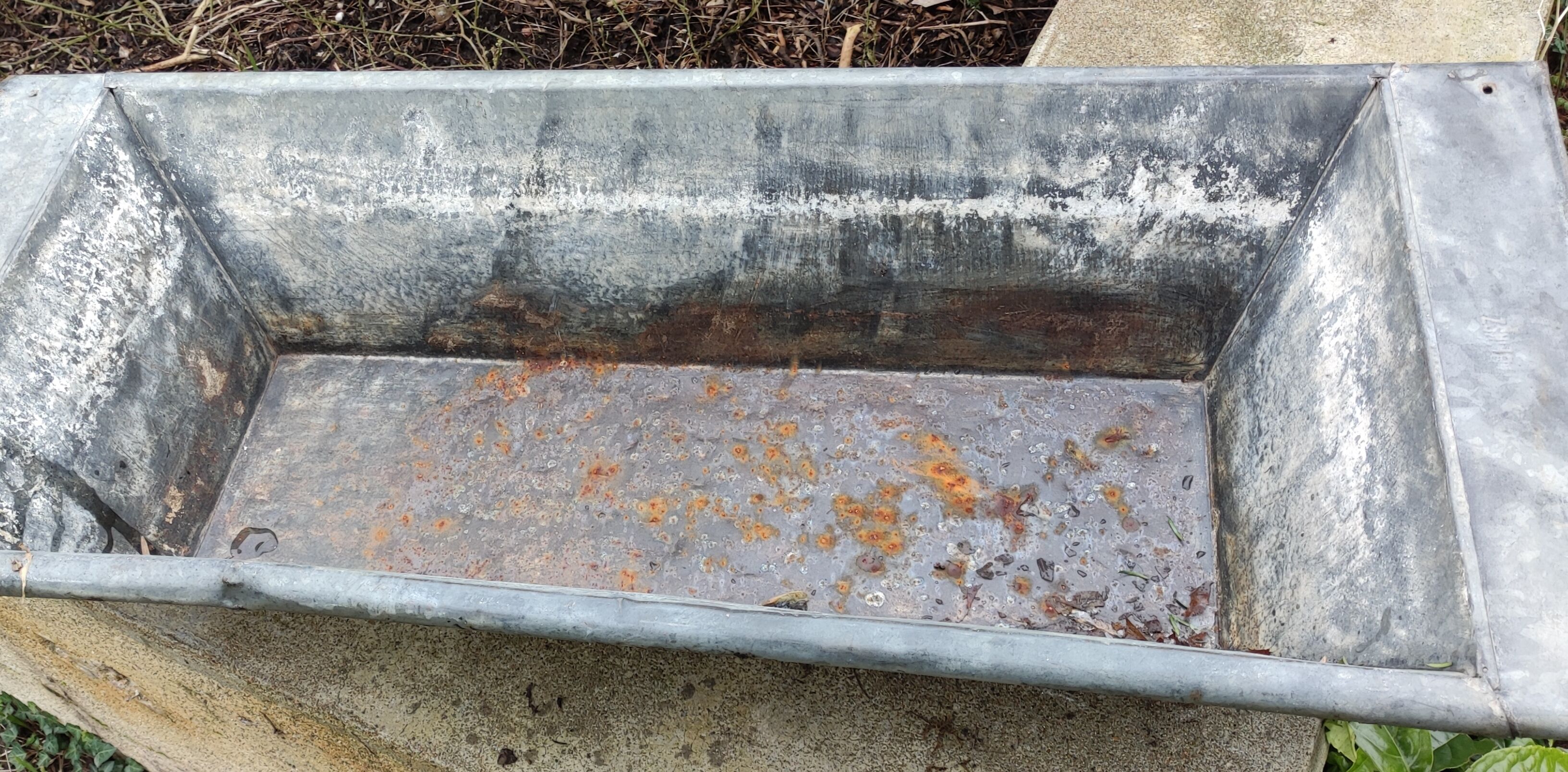 Old zinc trough/vintage planter