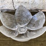 Oyster shaped glass salad bowl