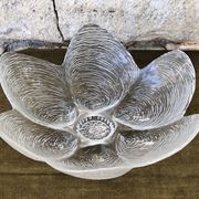 Oyster shaped glass salad bowl