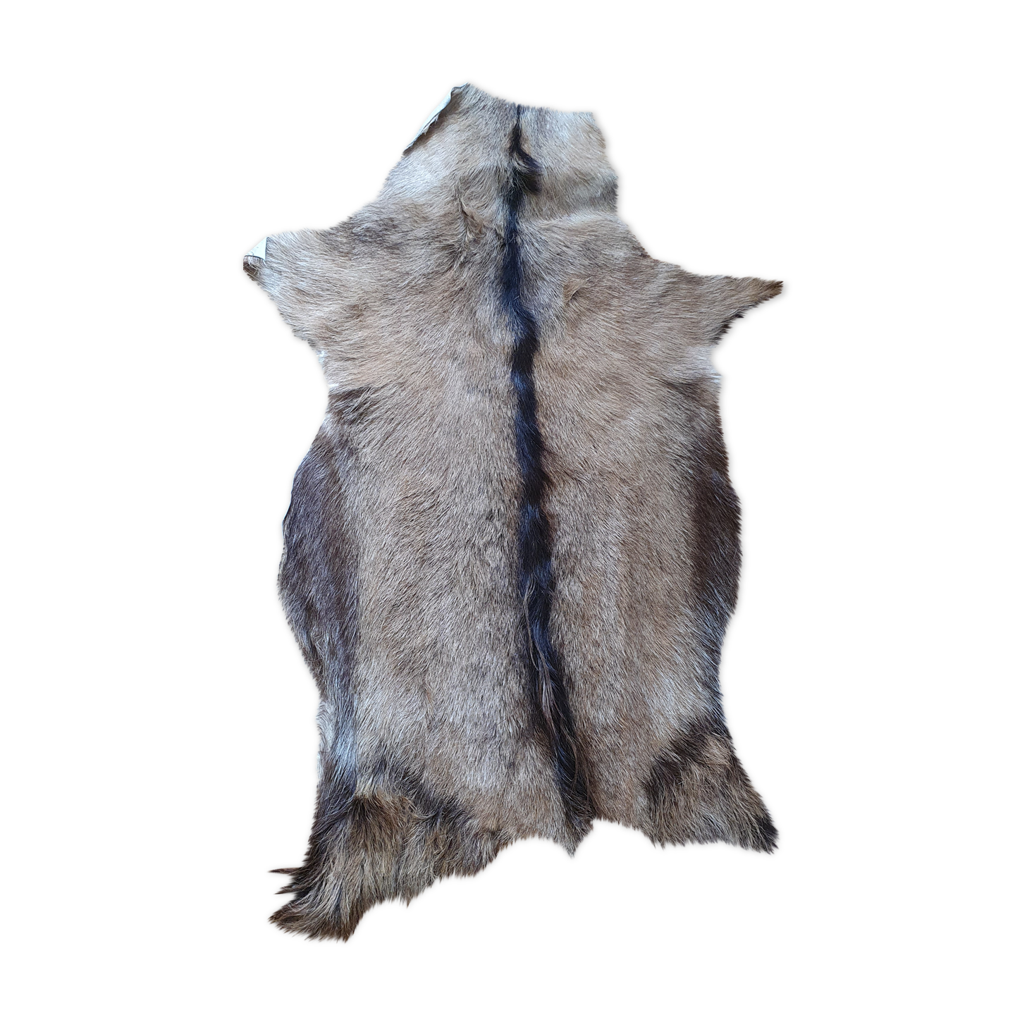 Goatskin 100x75cm