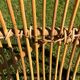 Rattan bench 50s