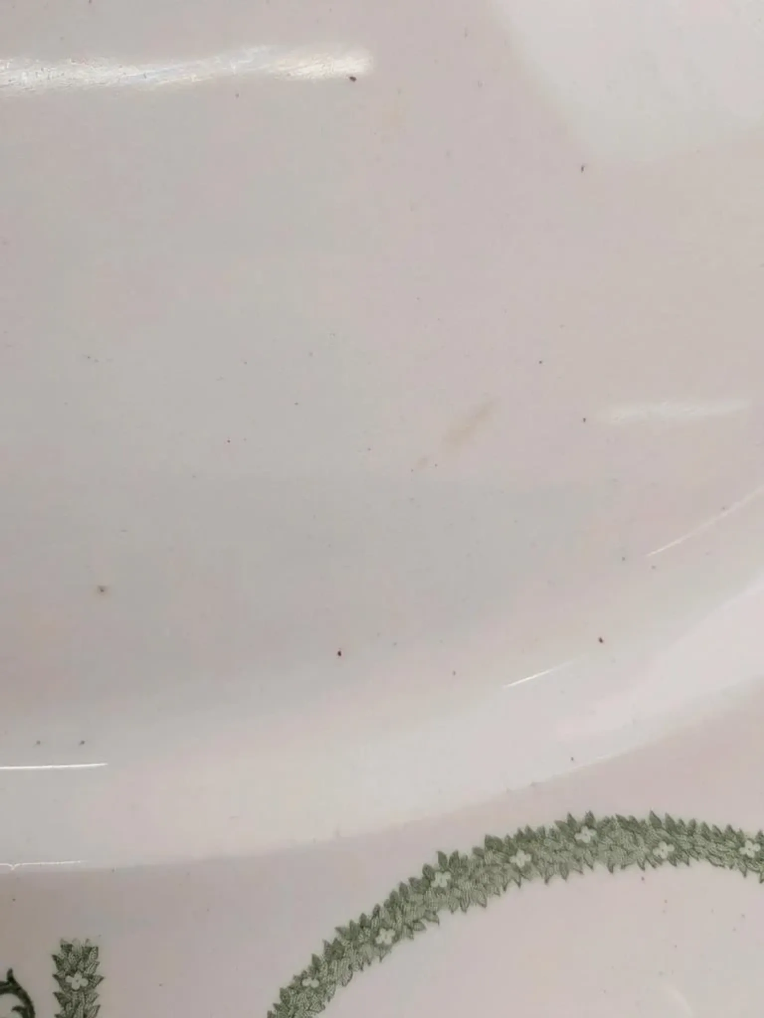 Large oval dish Terre de fer Creil et Montereau Labrador – Napoleon I service