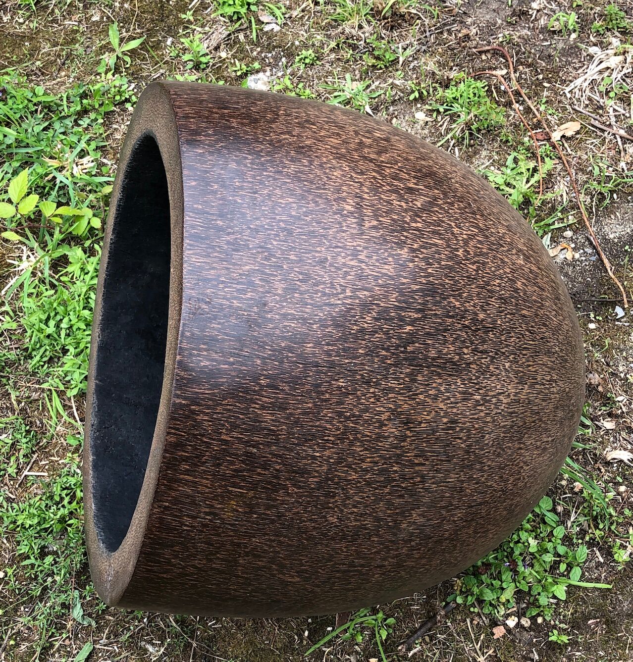 Massive coconut cacker