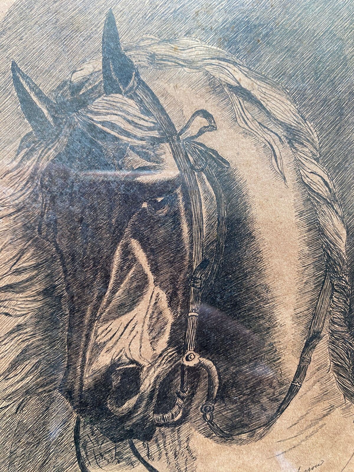 Painting "Portrait of horse" by Jeanne Arrow dated 1894 frame