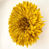 Juju Hat yellow 50 cm