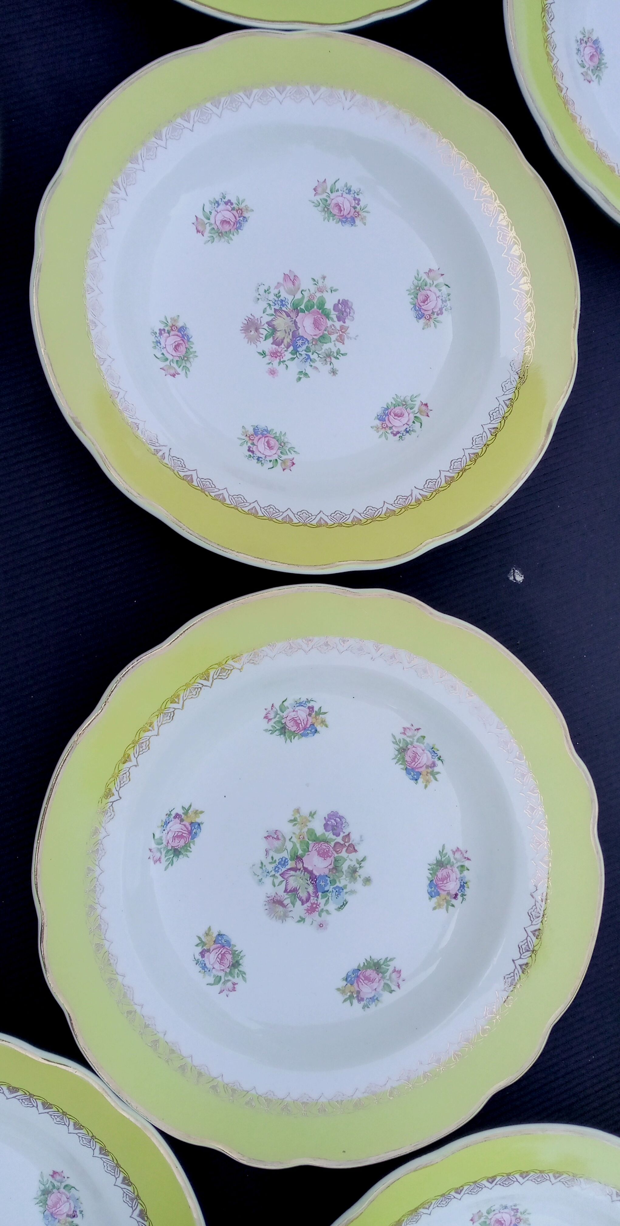 10 hollow plates model graziella sarreguemines & digoin