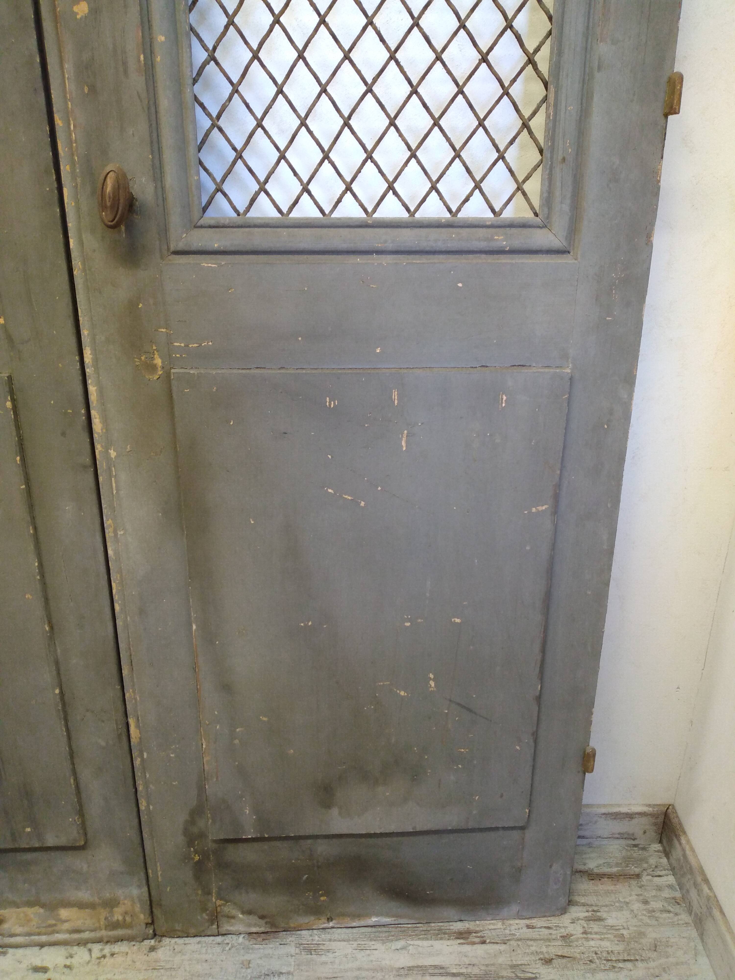 Double old mesh door