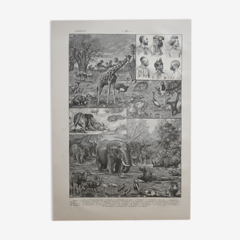 Lithographie gravure et carte sur l'Afrique datant de 1905