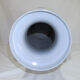 Chinese blue white vase