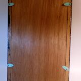 Duo of butterflies under glass