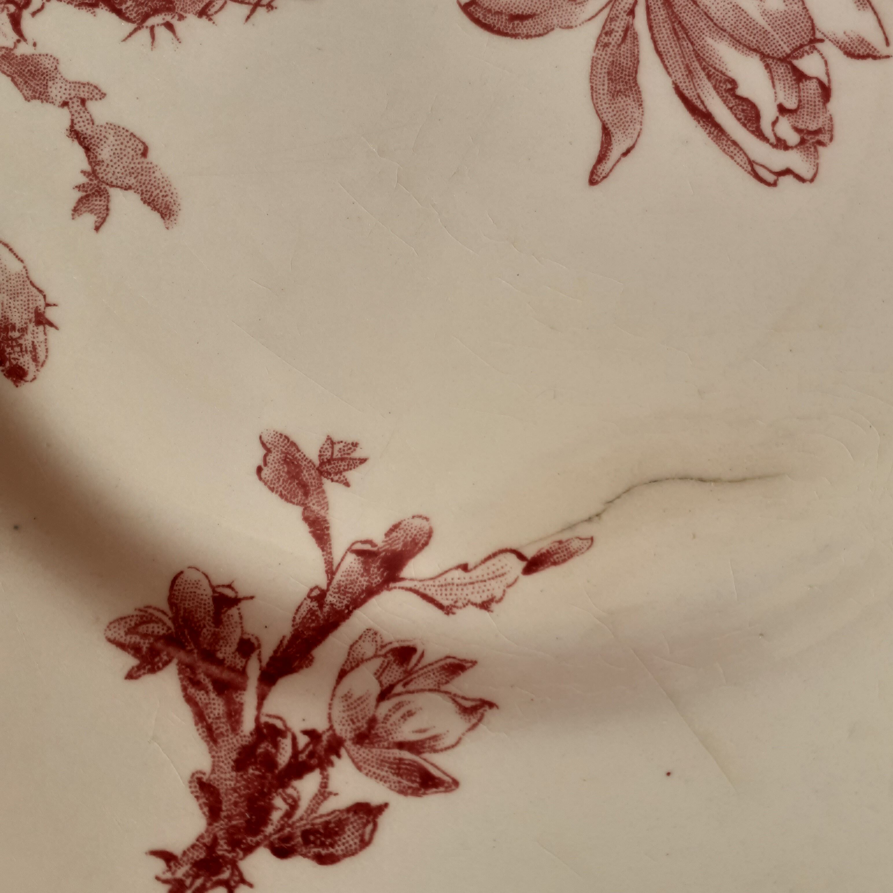 Set of 11 Gien plates