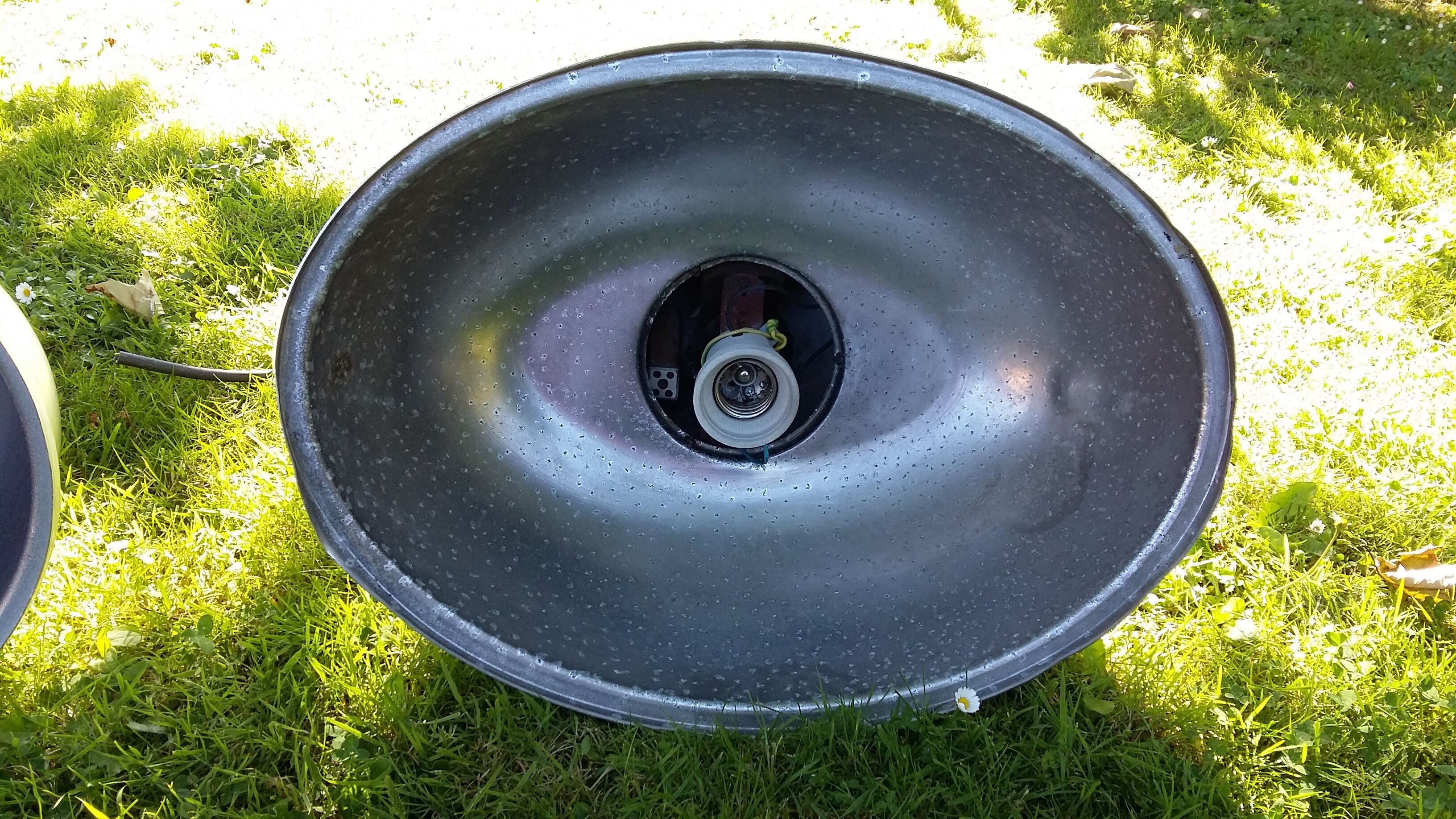 Suspensions of plant