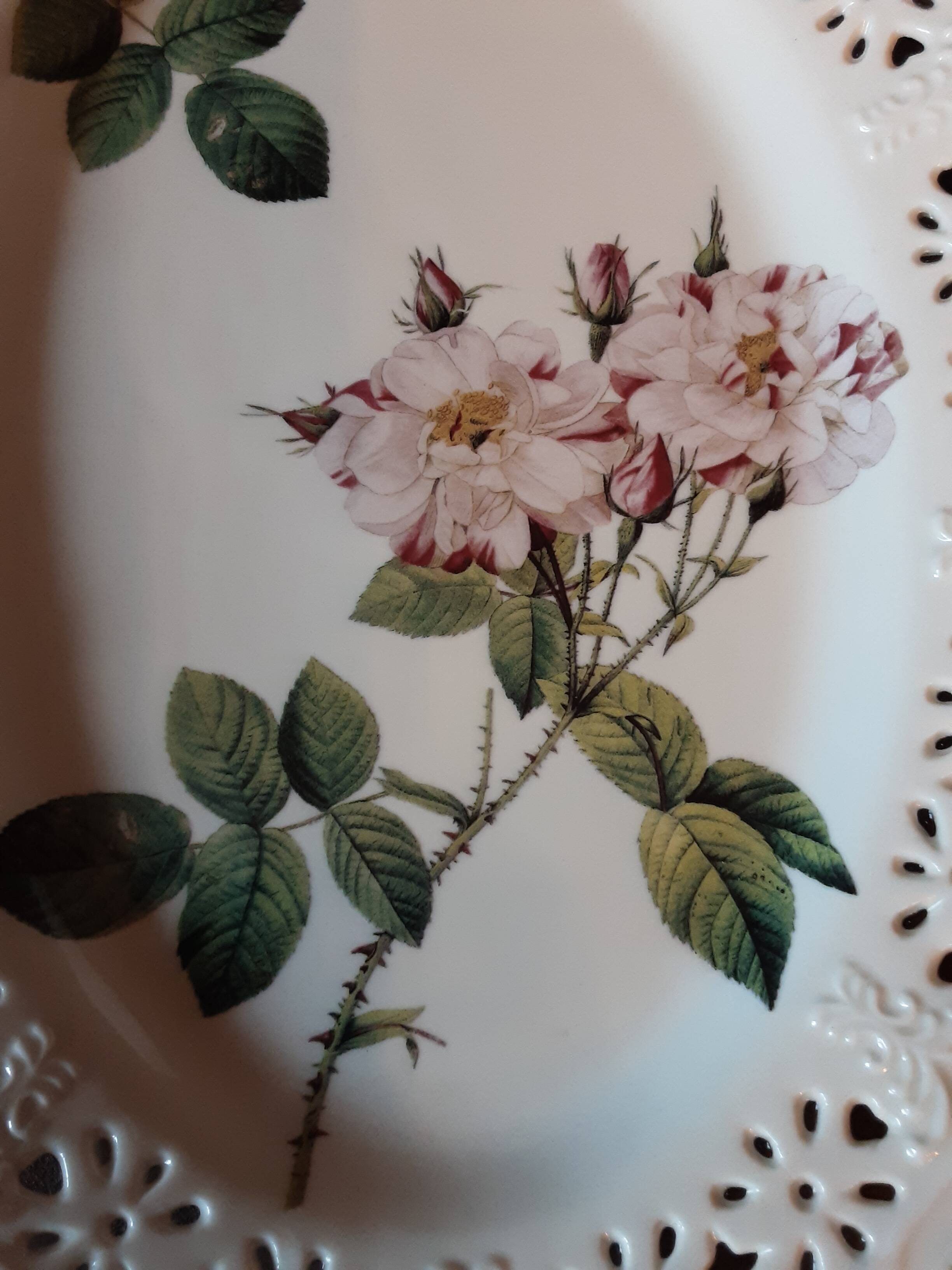 Barbotine style porcelain dish