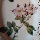 Barbotine style porcelain dish