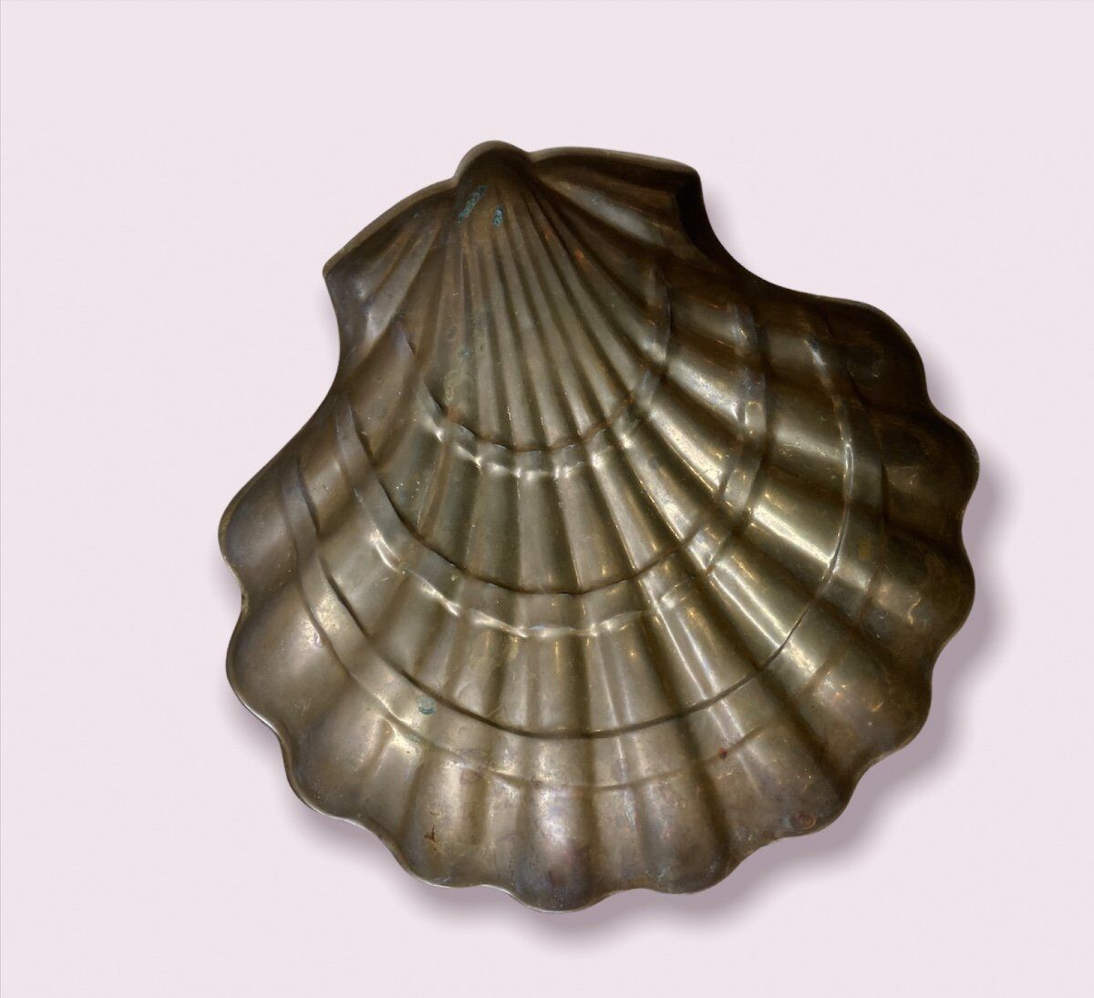 Golden Shell Brass Cup