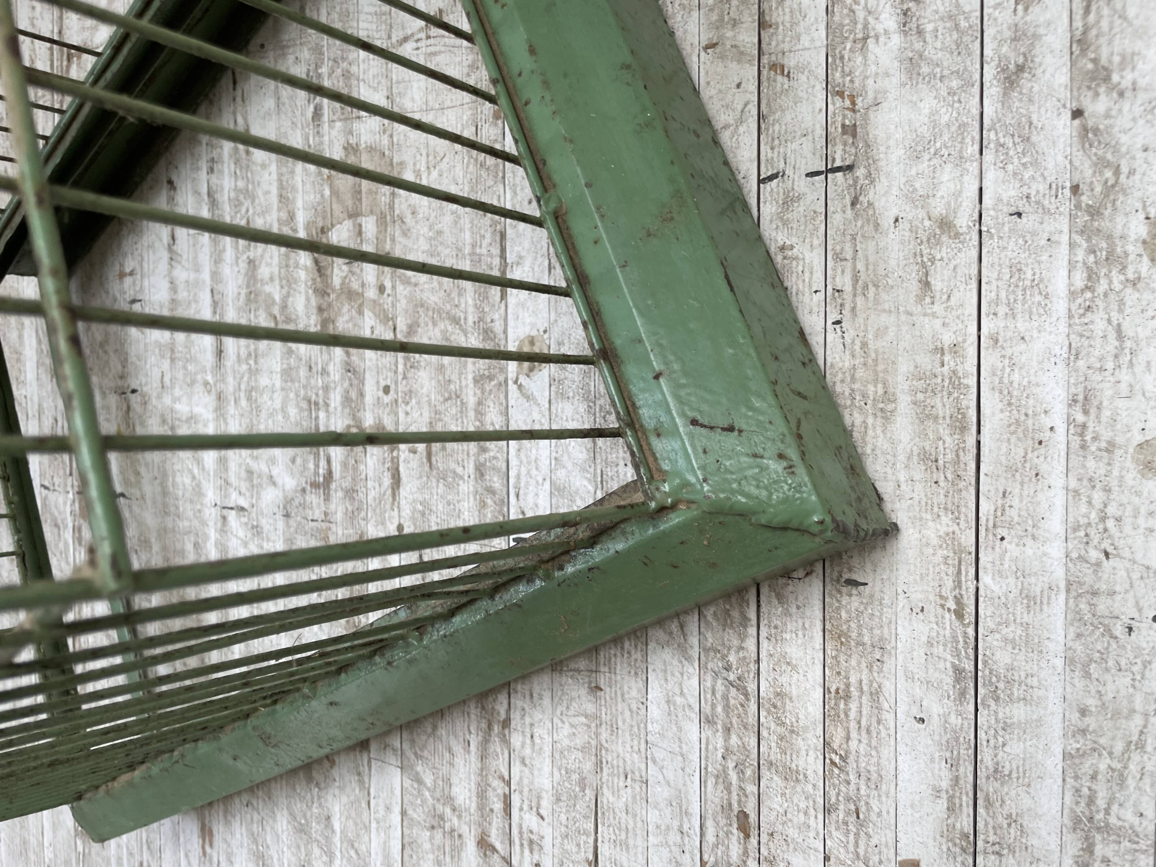 Decorative metal cage