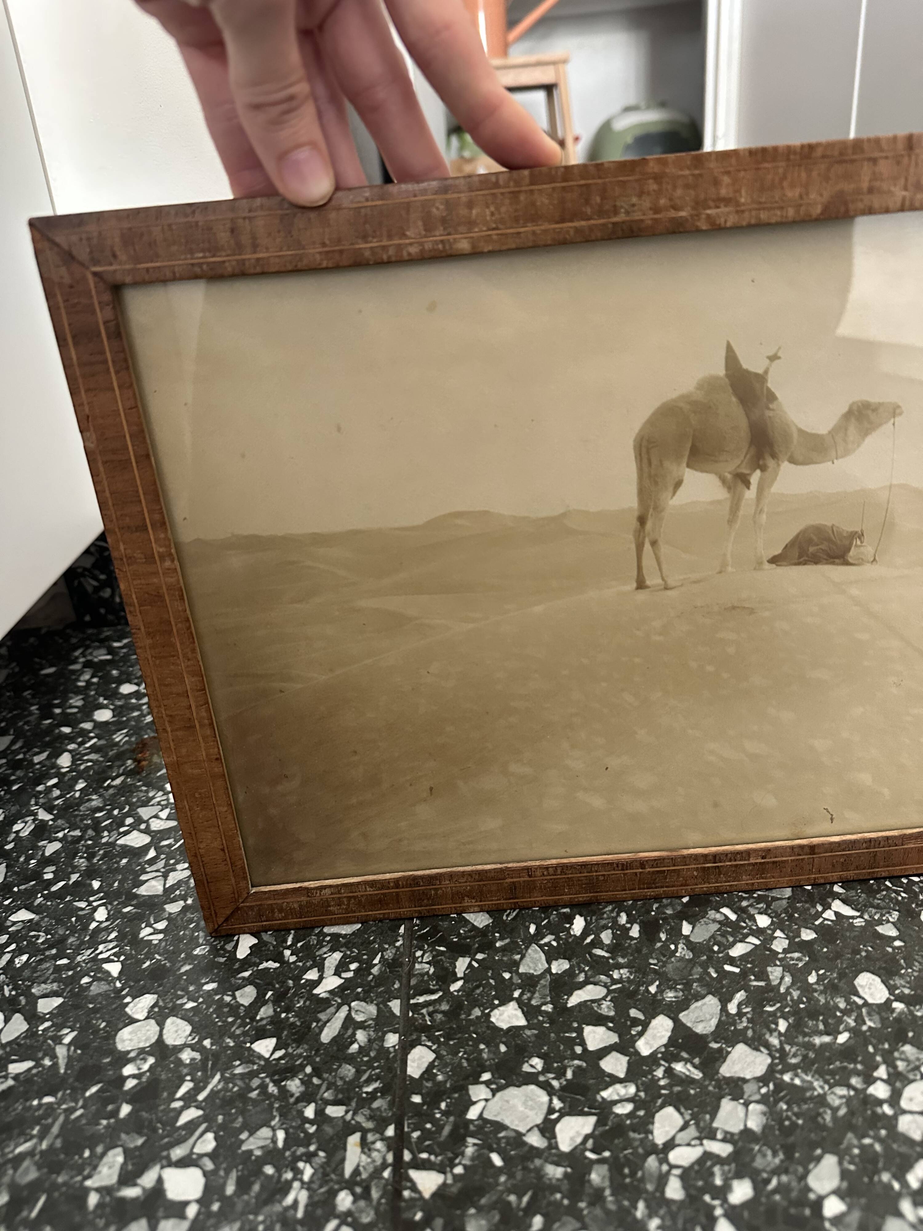Panoramic photograph of the ancient Sahara A. Bougault around 1900 – Framed