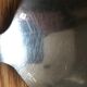 12 cuillères à soupe Ercuis en métal argenté