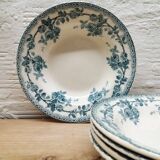 Set 5 hollow plates Iron Earth