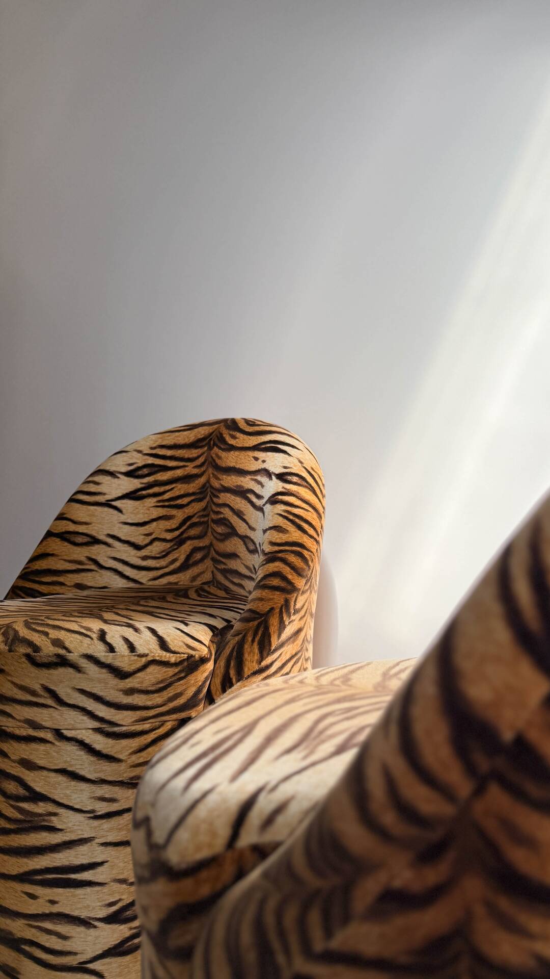 Zebra armchair