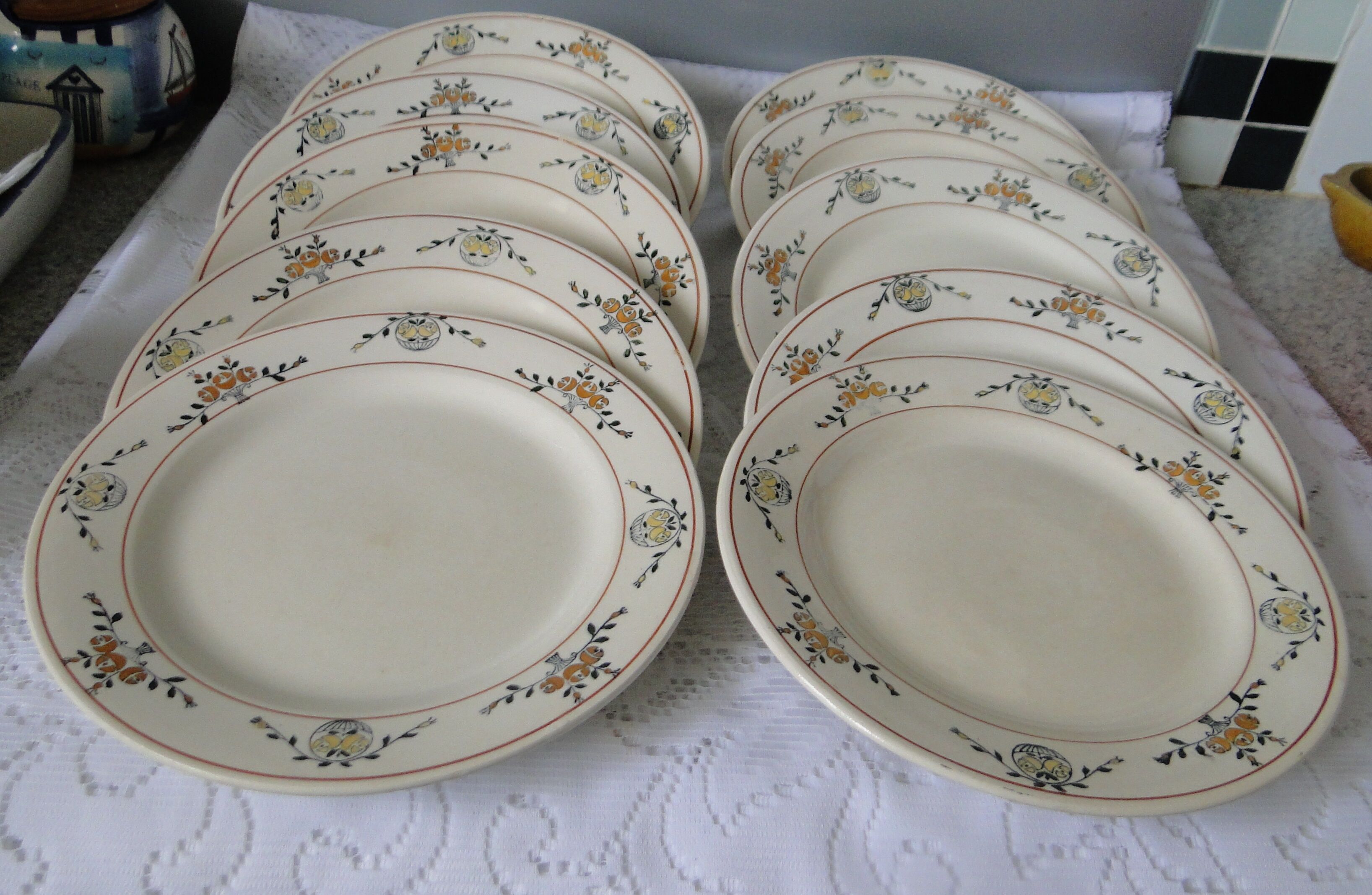 Lot 10 plates flat art nouveau coal iron earth salin floral model