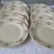 Lot 10 plates flat art nouveau coal iron earth salin floral model