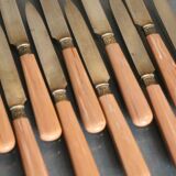 Suite of 12 dessert knives in gold metal blades