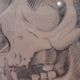 Pair of nineteenth pencil study drawings