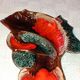 Fish dish Vallauris