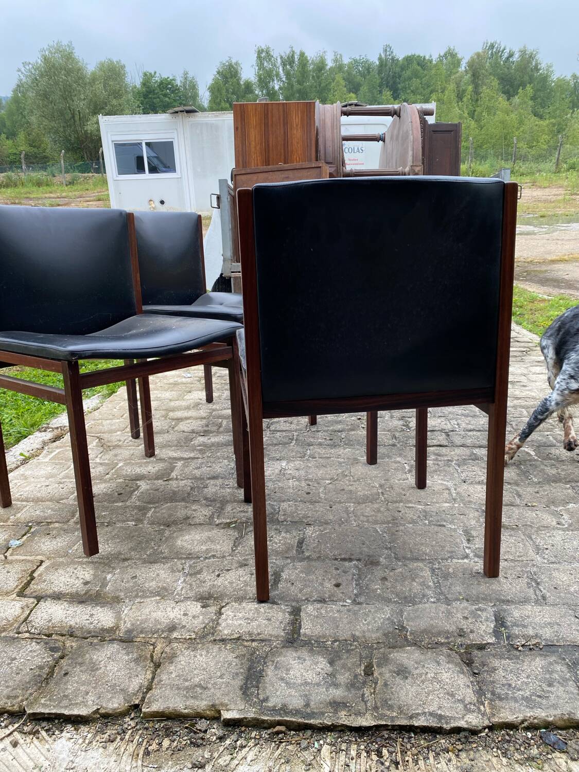 4 vintage Tito Agnoli chairs
