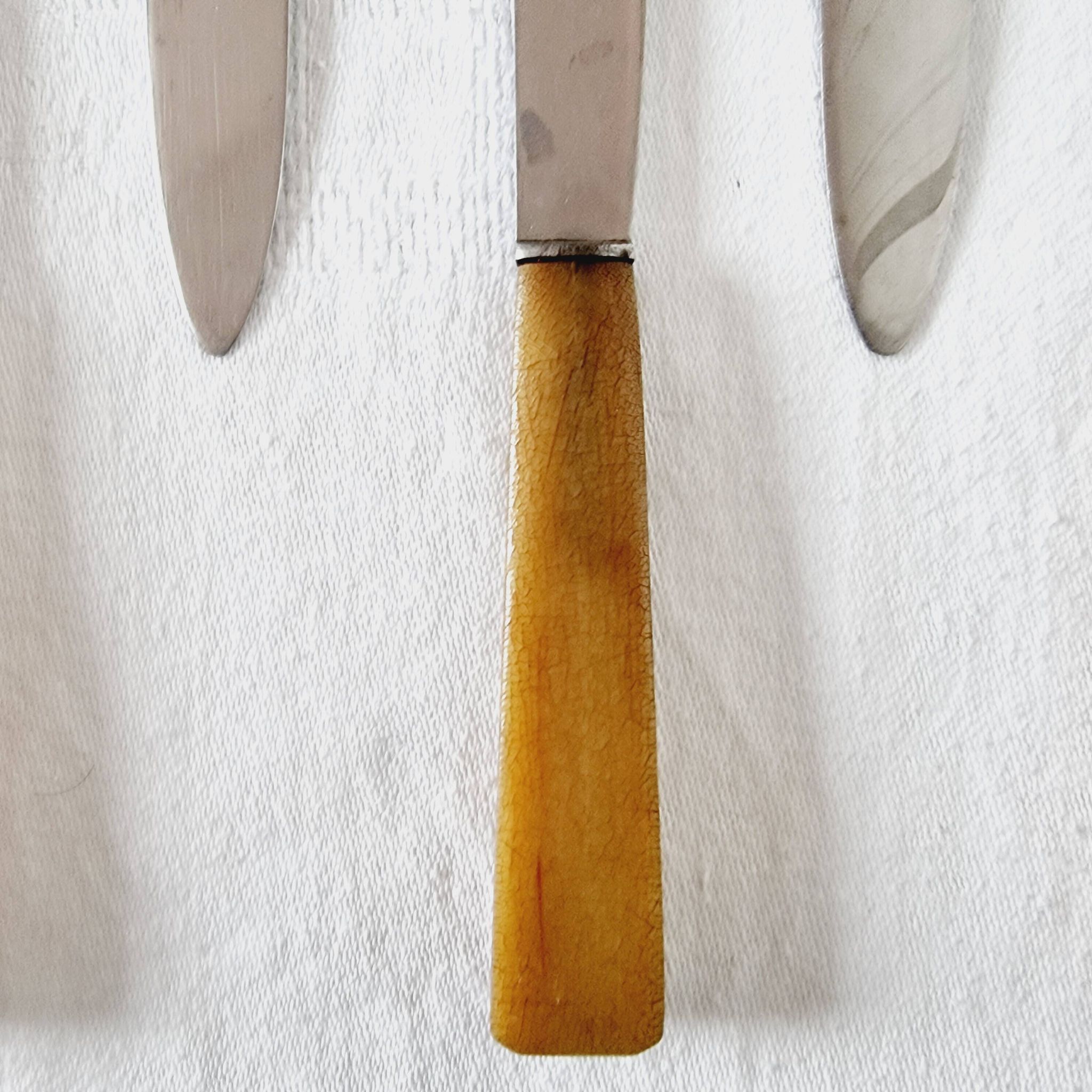 12 antique knives with edgeless resin handle and stainless steel metal
