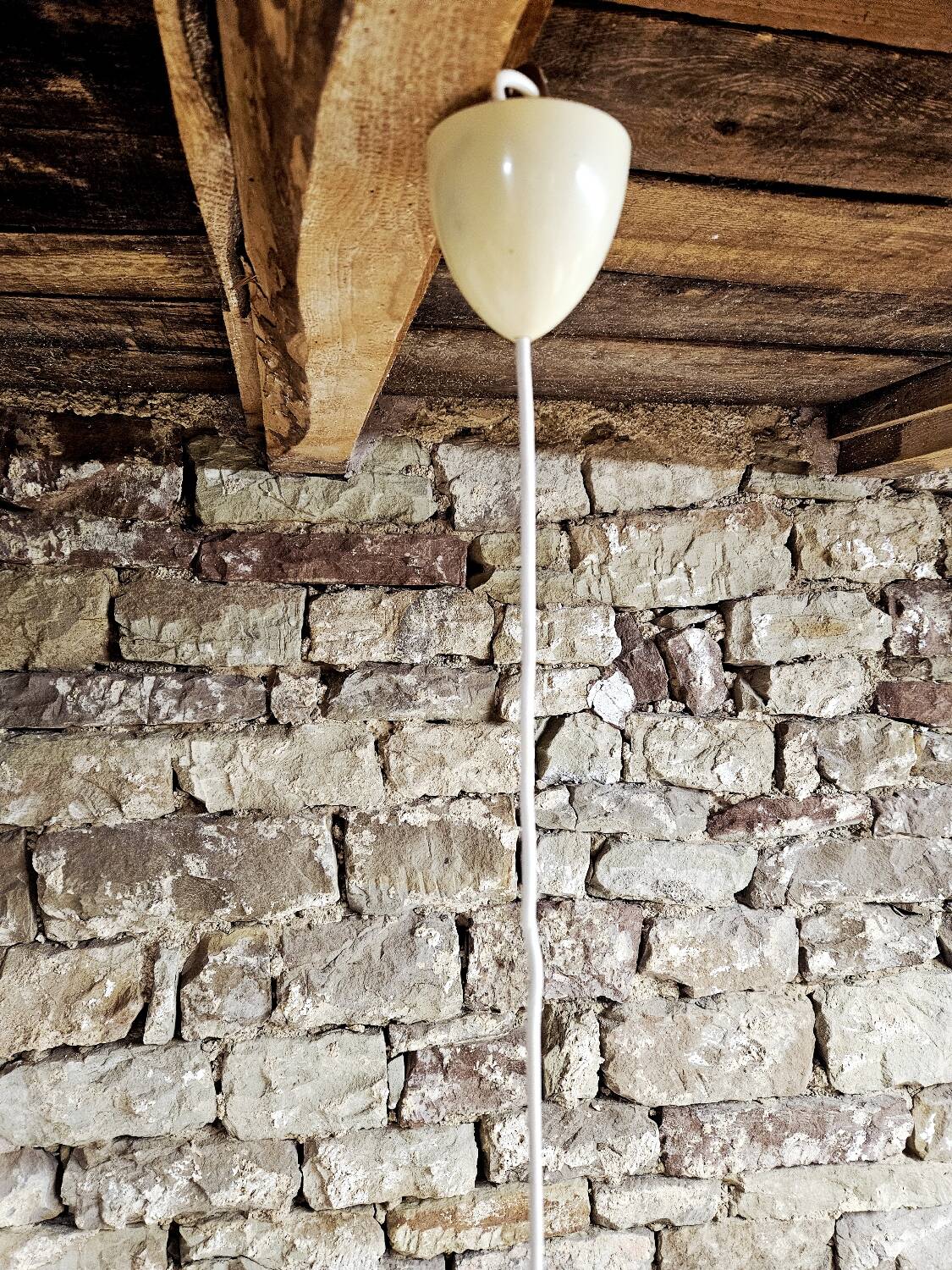 Vintage Alaska Peili & Putzler pendant light, 1960s Germany